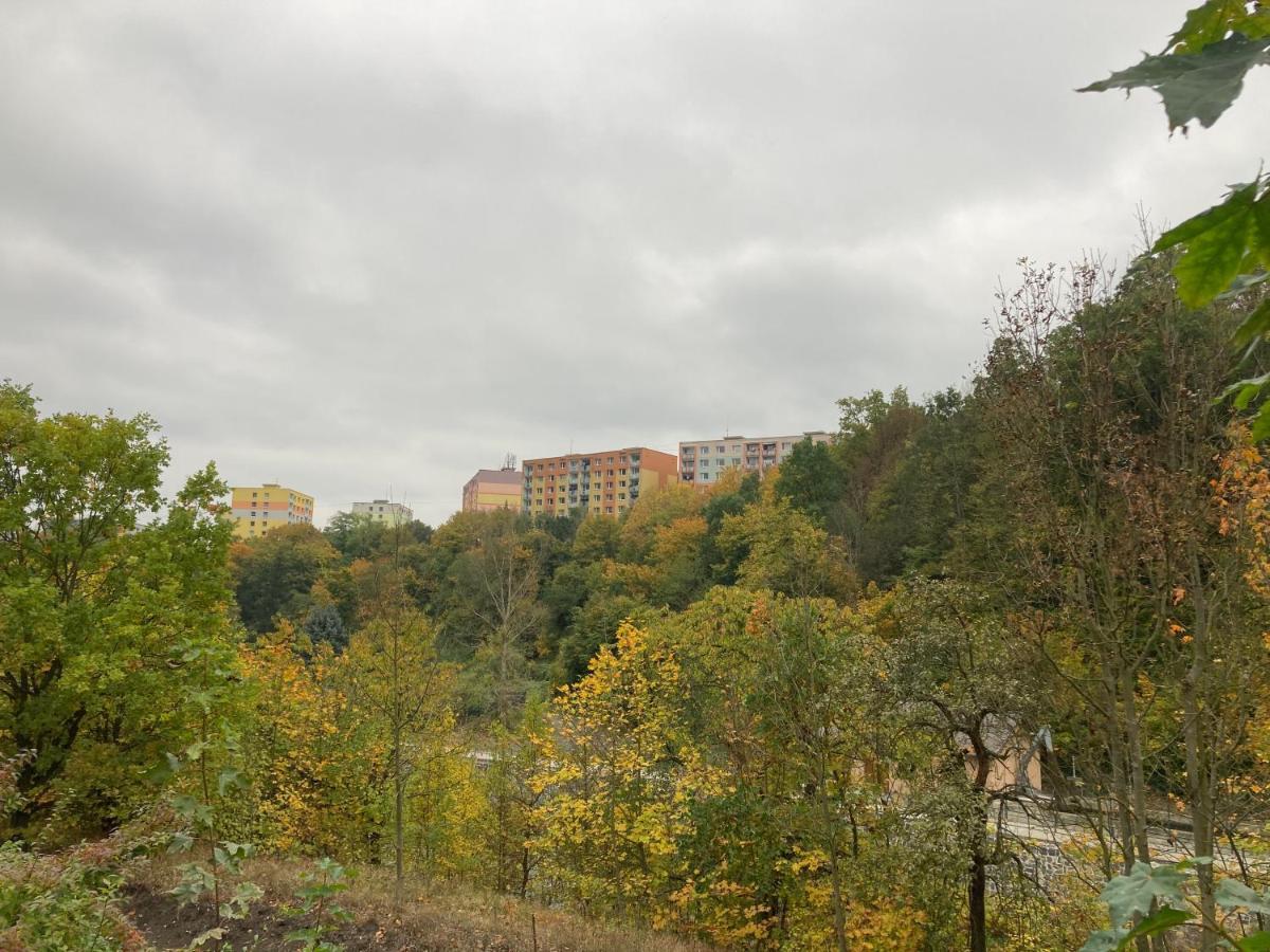 U Kosmonauta Apartment Decin